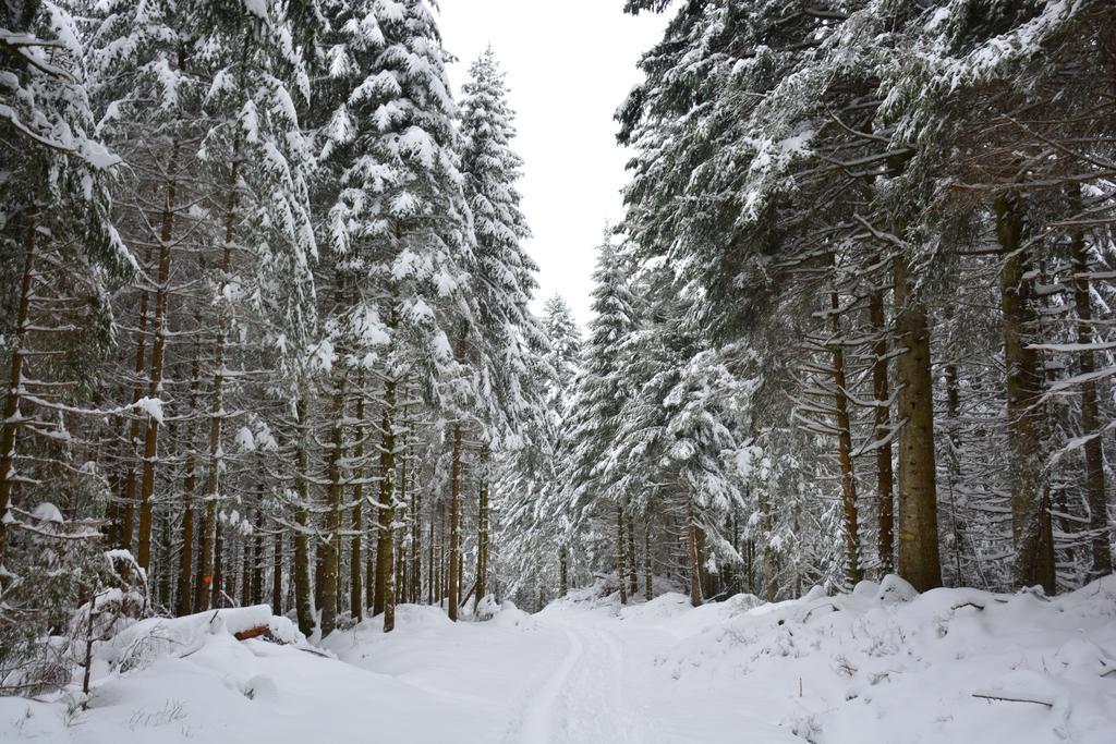 Gite Noa Villa Xonrupt-Longemer Buitenkant foto