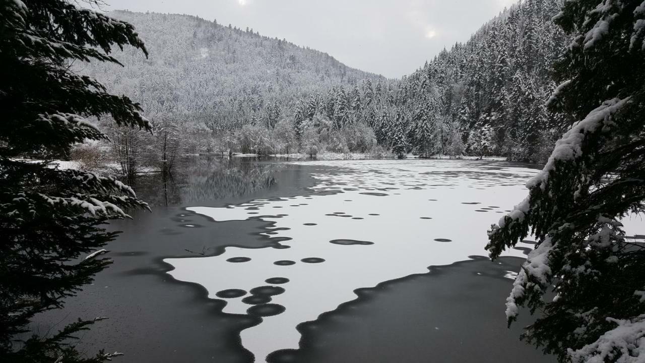 Gite Noa Villa Xonrupt-Longemer Buitenkant foto