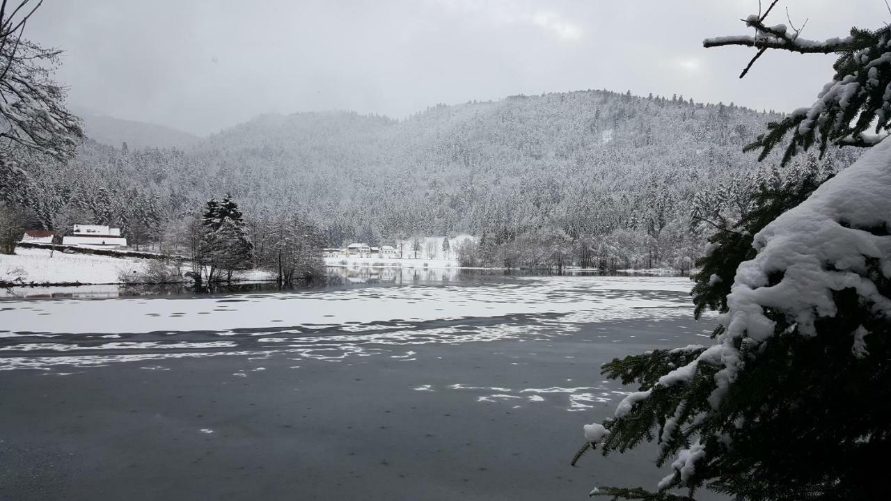 Gite Noa Villa Xonrupt-Longemer Buitenkant foto